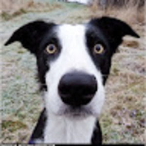 Meet your Posher, Ken